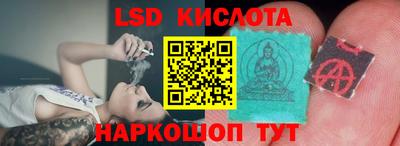 шишки Абакан