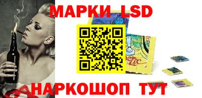 шишки Абакан