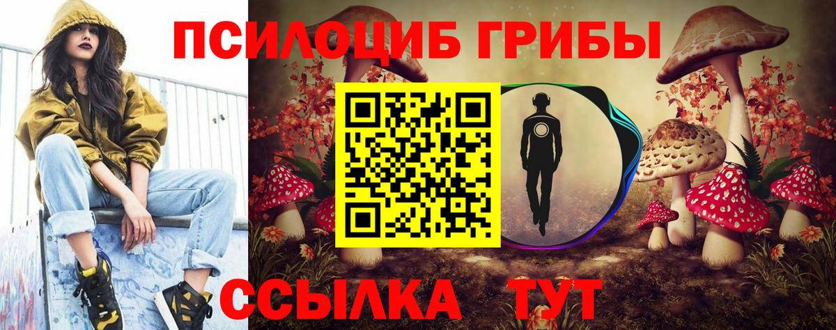 Анапа  Псилоцибиновые грибы мухоморы  Псилоцибиновые грибы Psilocybe  Вход с VPN 