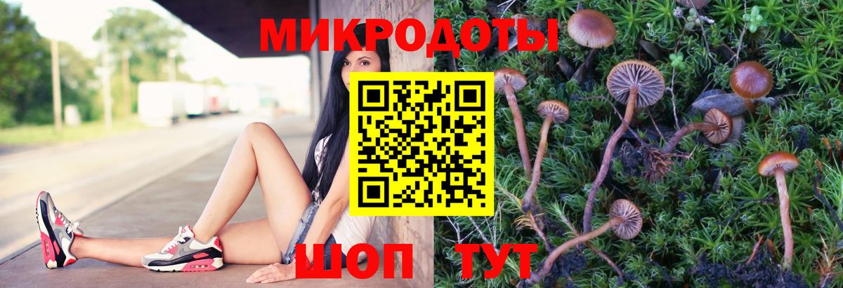 Псилоцибиновые грибы Psilocybine cubensis Анапа